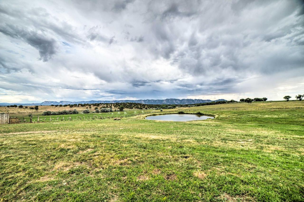 Walkout Apartment With Mtn View On Cortez Ranch Buitenkant foto