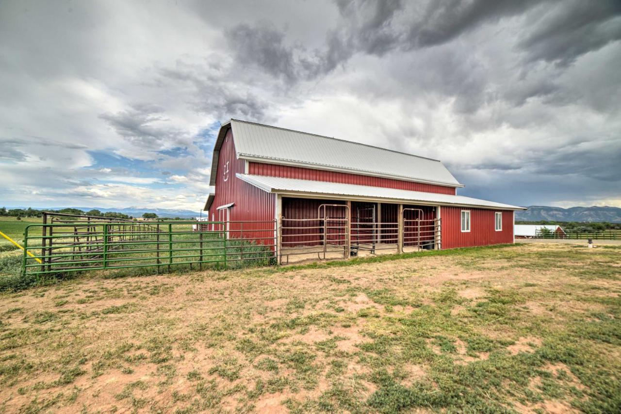 Walkout Apartment With Mtn View On Cortez Ranch Buitenkant foto